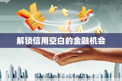 利通解锁信用空白的金融机会