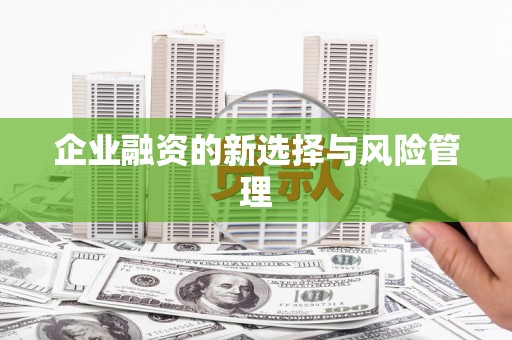 利通企业融资的新选择与风险管理
