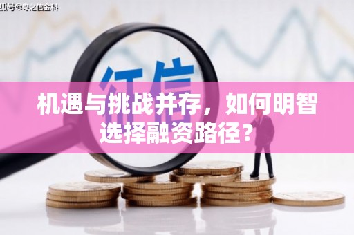 利通机遇与挑战并存，如何明智选择融资路径？