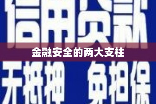 利通金融安全的两大支柱