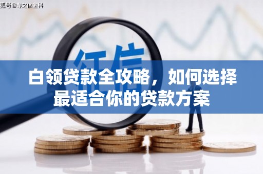 利通白领贷款全攻略，如何选择最适合你的贷款方案