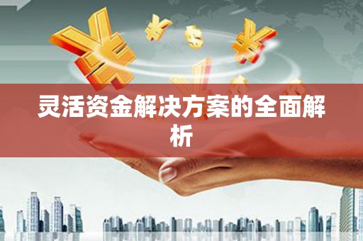 利通灵活资金解决方案的全面解析