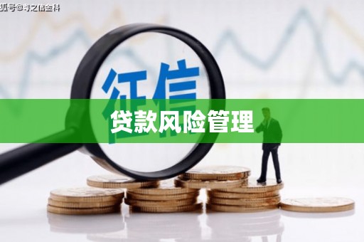 利通贷款风险管理