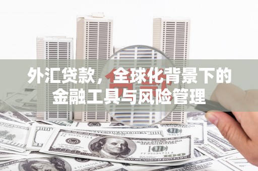 利通外汇贷款，全球化背景下的金融工具与风险管理